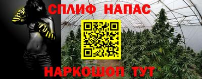 ешки Лесосибирск