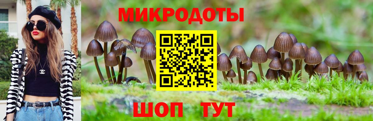 Псилоцибиновые грибы ЛСД Волжский